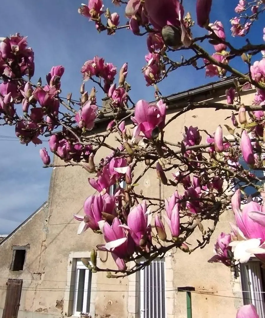Gite L'Esprit Nature Naucelle Holiday home