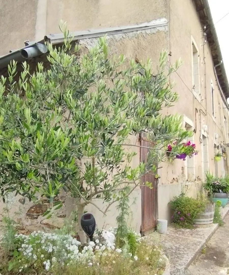 Gite L'Esprit Nature Naucelle France