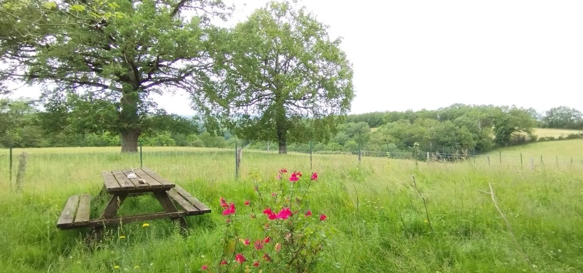 Gite L'Esprit Nature Naucelle Holiday home